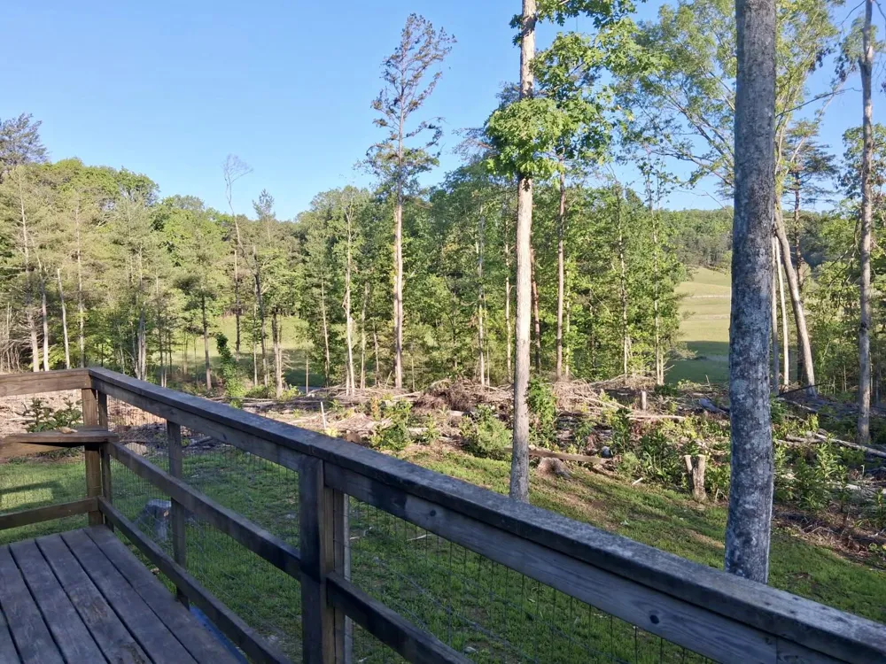 233 Finger Board Road Tellico Plains, TN 37385