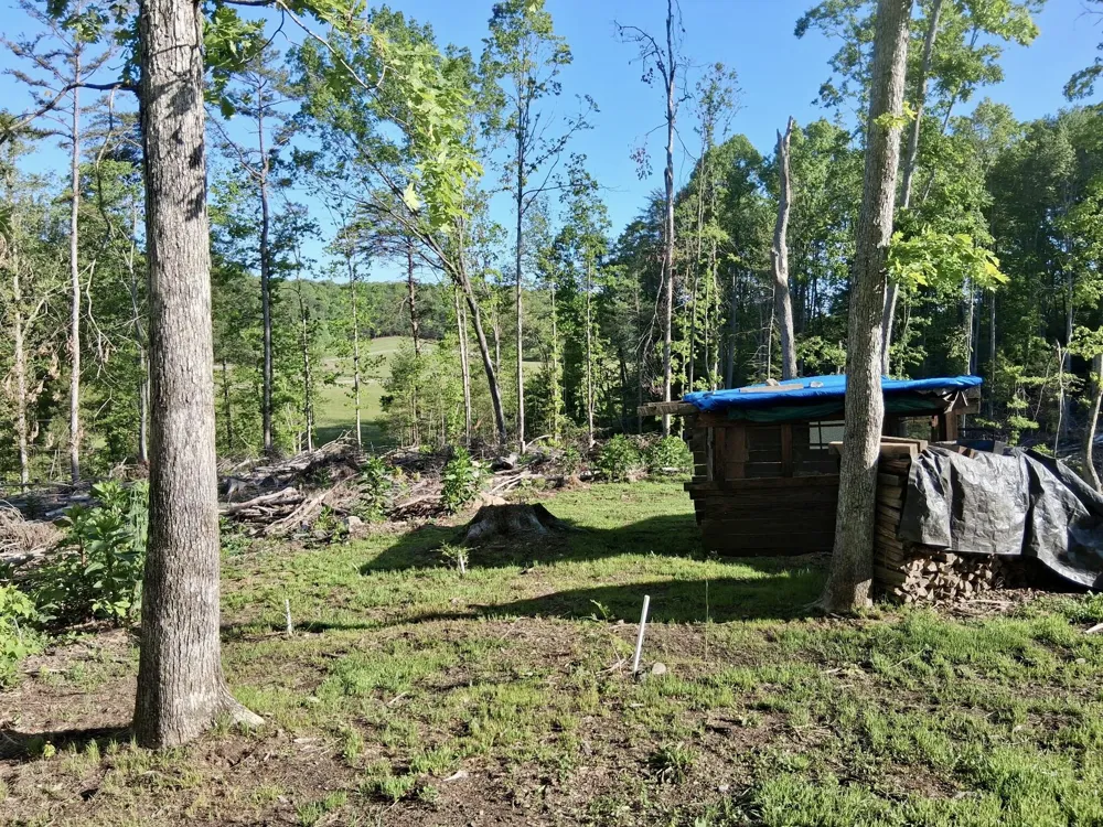 233 Finger Board Road Tellico Plains, TN 37385
