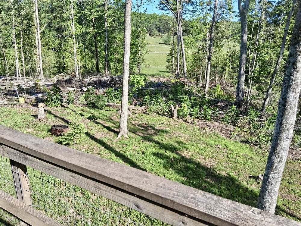 233 Finger Board Road Tellico Plains, TN 37385