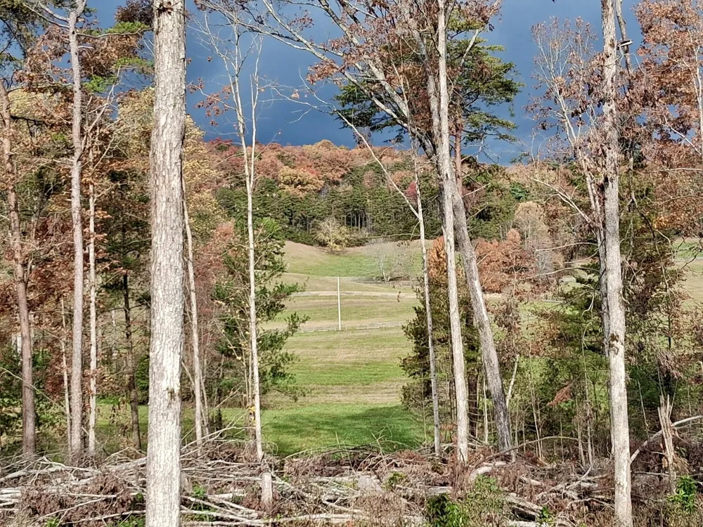 233 Finger Board Road Tellico Plains, TN 37385