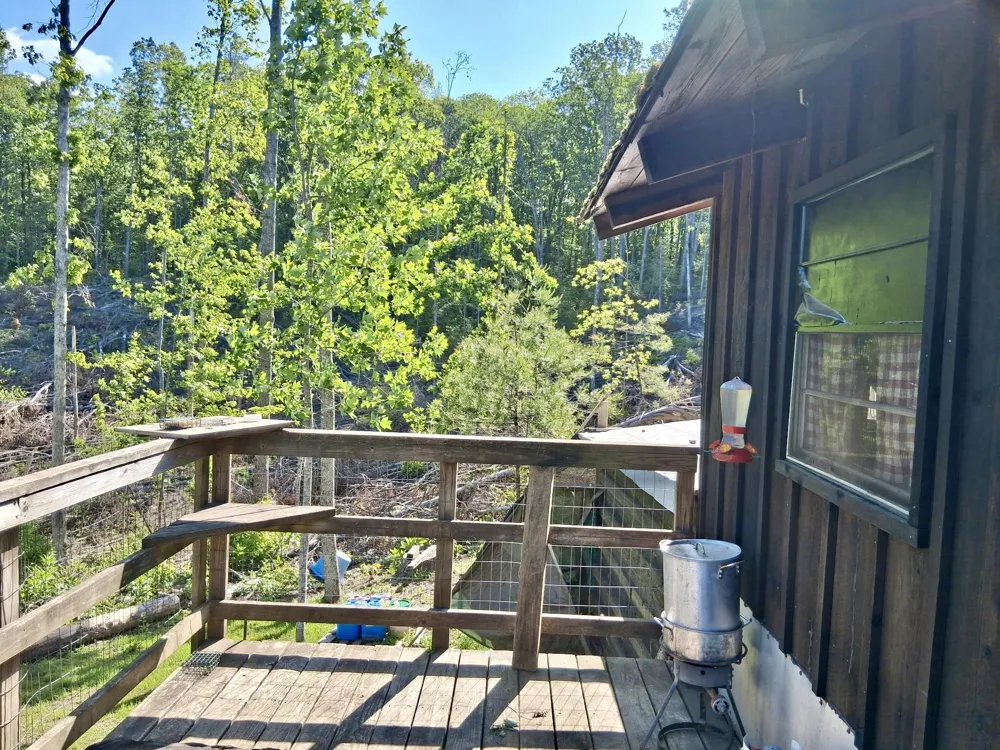 233 Finger Board Road Tellico Plains, TN 37385