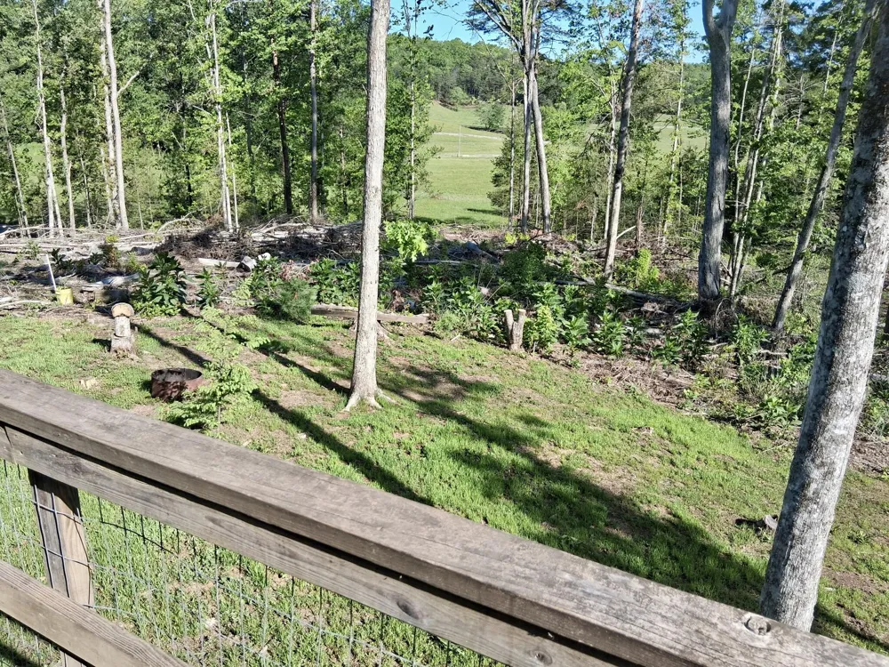 233 Finger Board Road Tellico Plains, TN 37385