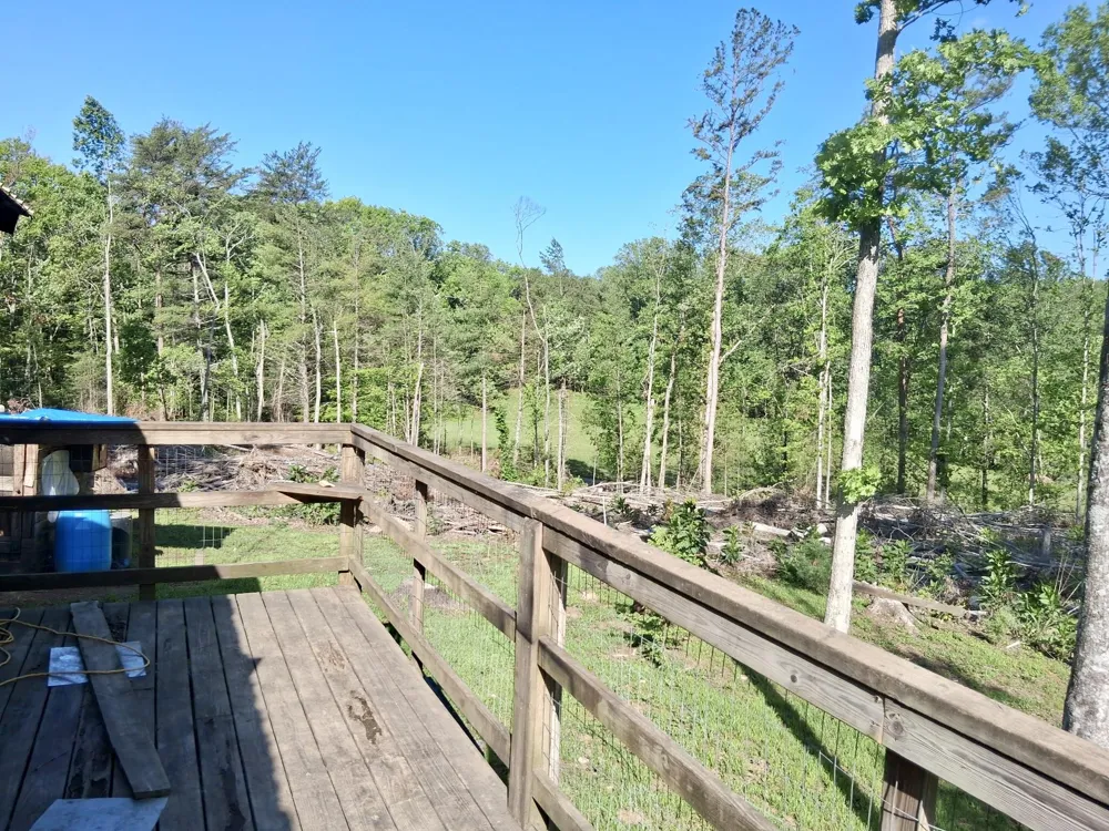 233 Finger Board Road Tellico Plains, TN 37385