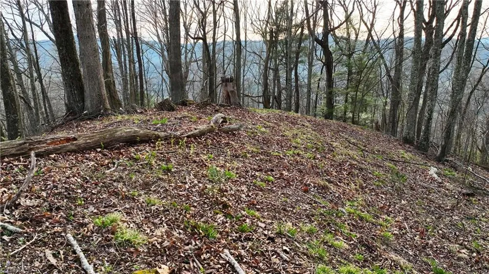 94 Bucks Ridge #15-17 Clyde, NC 28721