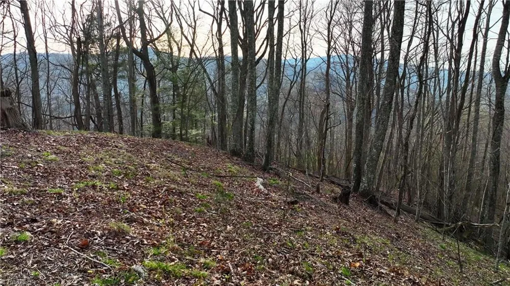 94 Bucks Ridge #15-17 Clyde, NC 28721