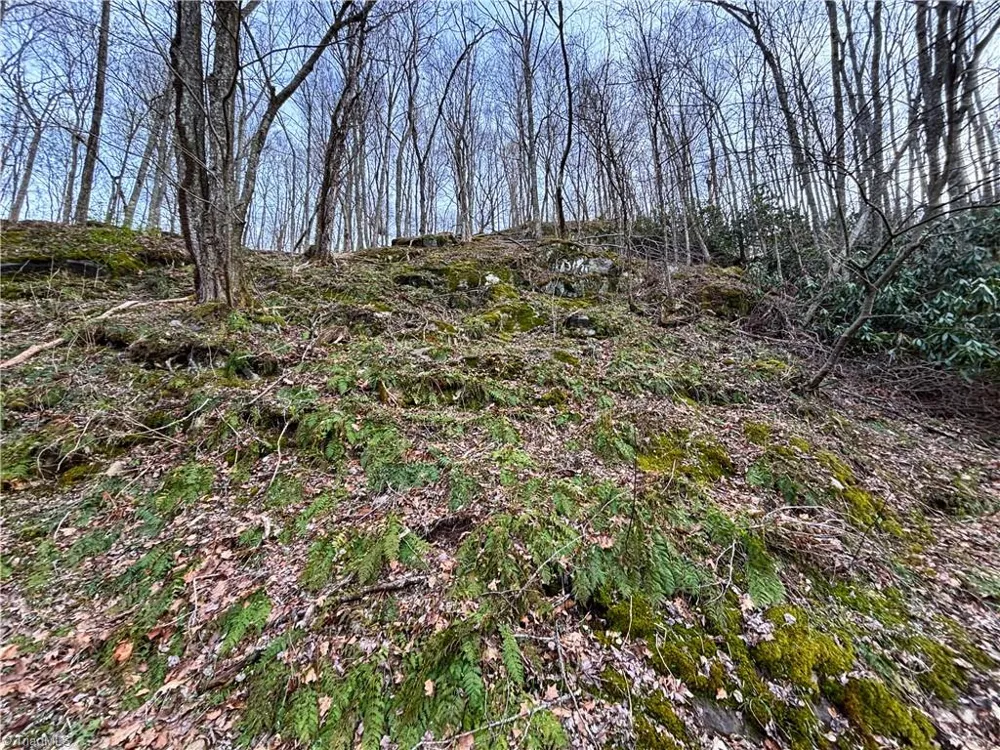 94 Bucks Ridge #15-17 Clyde, NC 28721