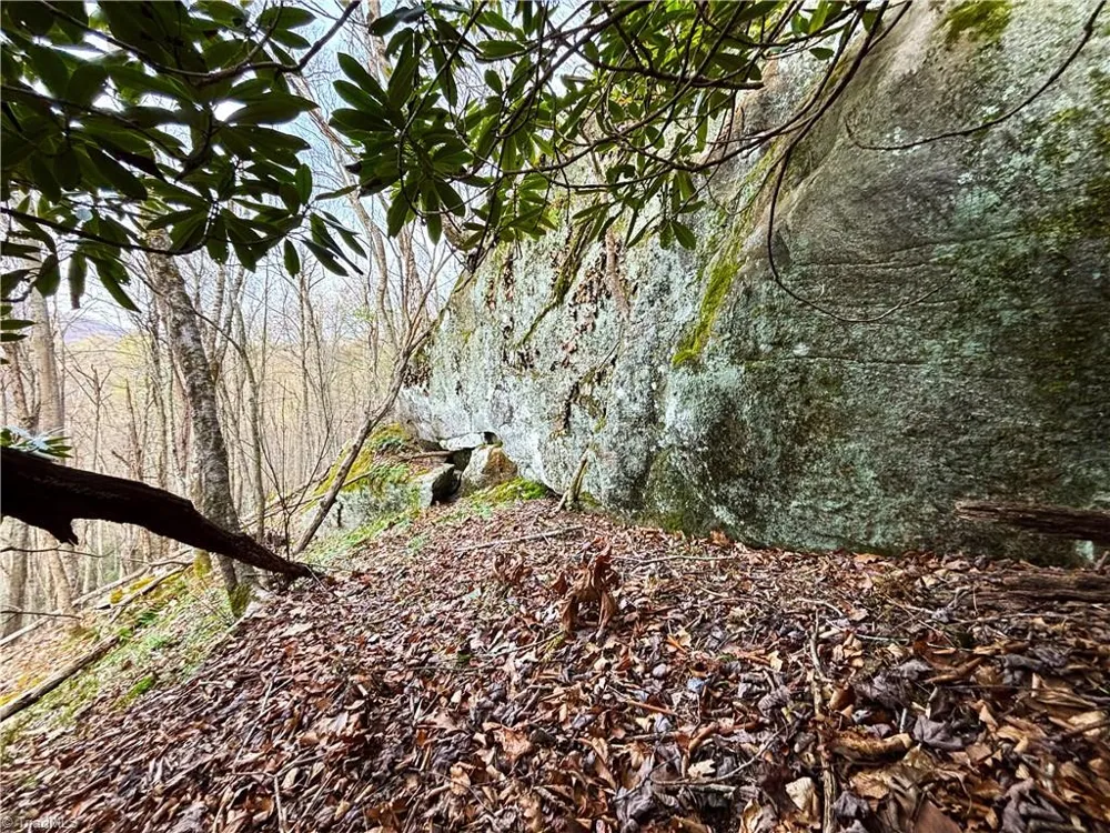 94 Bucks Ridge #15-17 Clyde, NC 28721