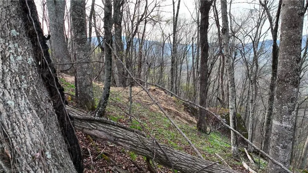 94 Bucks Ridge #15-17 Clyde, NC 28721