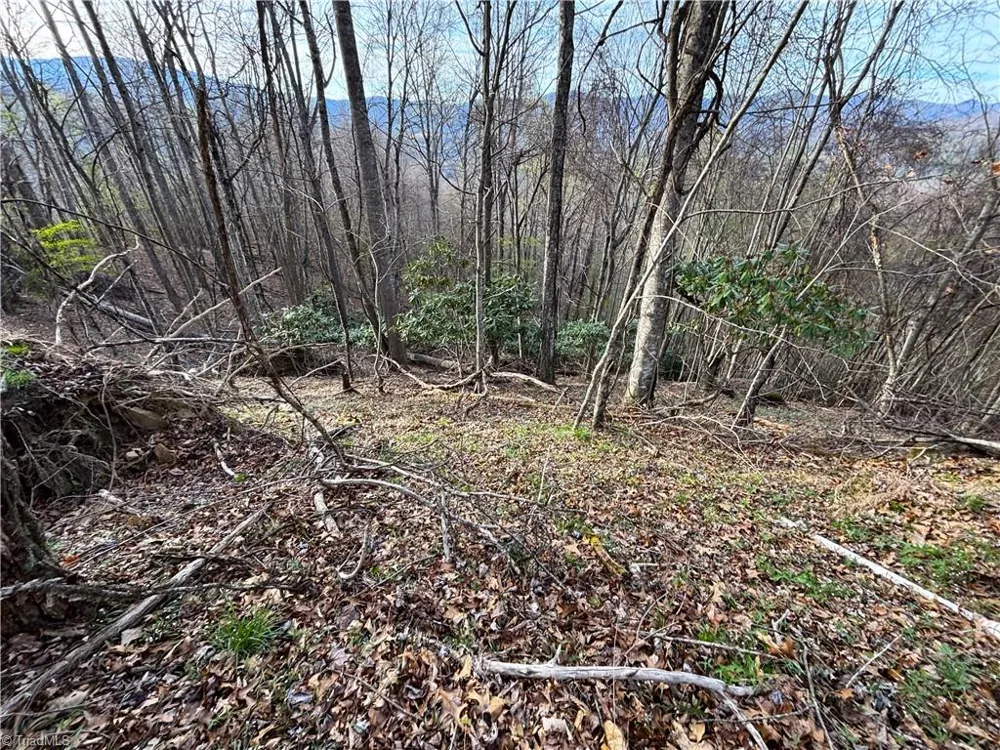 94 Bucks Ridge #15-17 Clyde, NC 28721