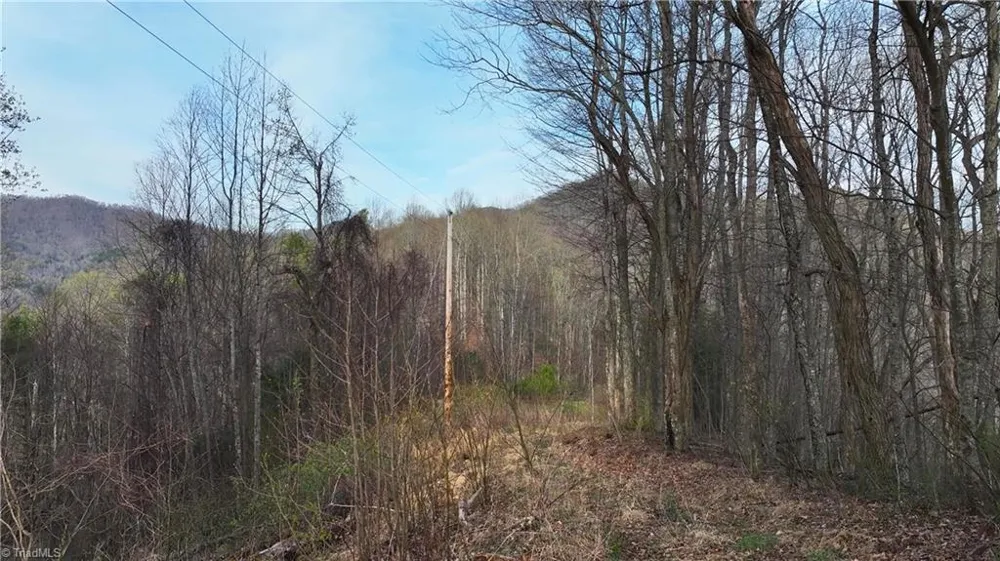 94 Bucks Ridge #15-17 Clyde, NC 28721