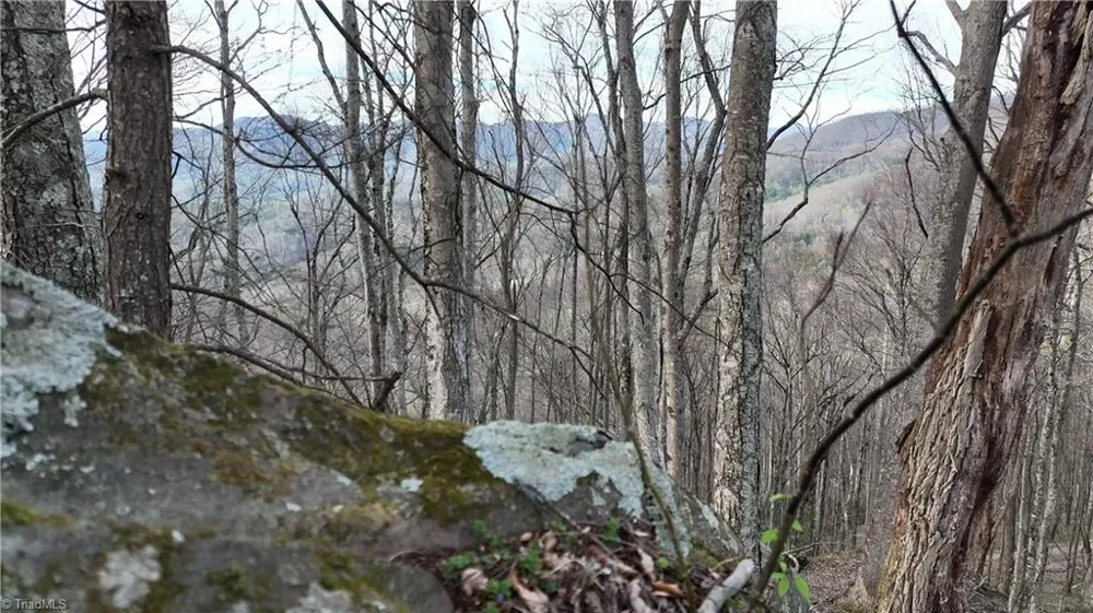 94 Bucks Ridge #15-17 Clyde, NC 28721