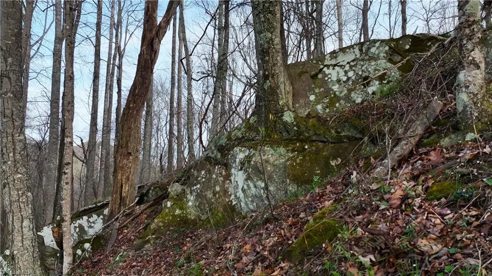 94 Bucks Ridge #15-17 Clyde, NC 28721