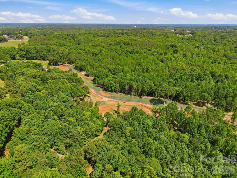 5833 Bentley Ridge Drive #9 Davidson, NC 28036
