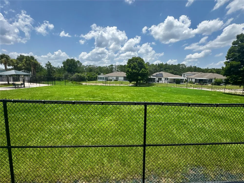 1033 BLACKWATER DRIVE Wesley Chapel, FL 33543