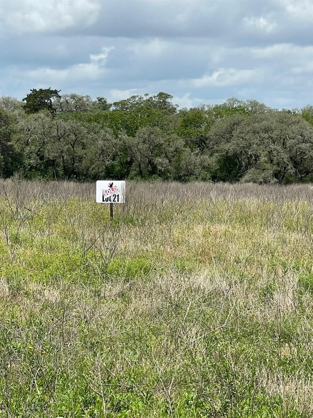 Pintail Lane Columbus, TX 78934