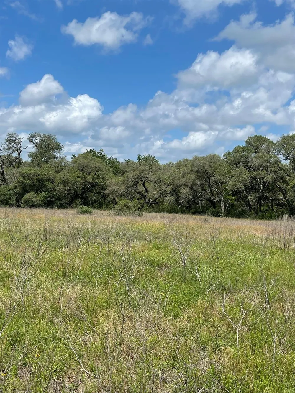 Pintail Lane Columbus, TX 78934