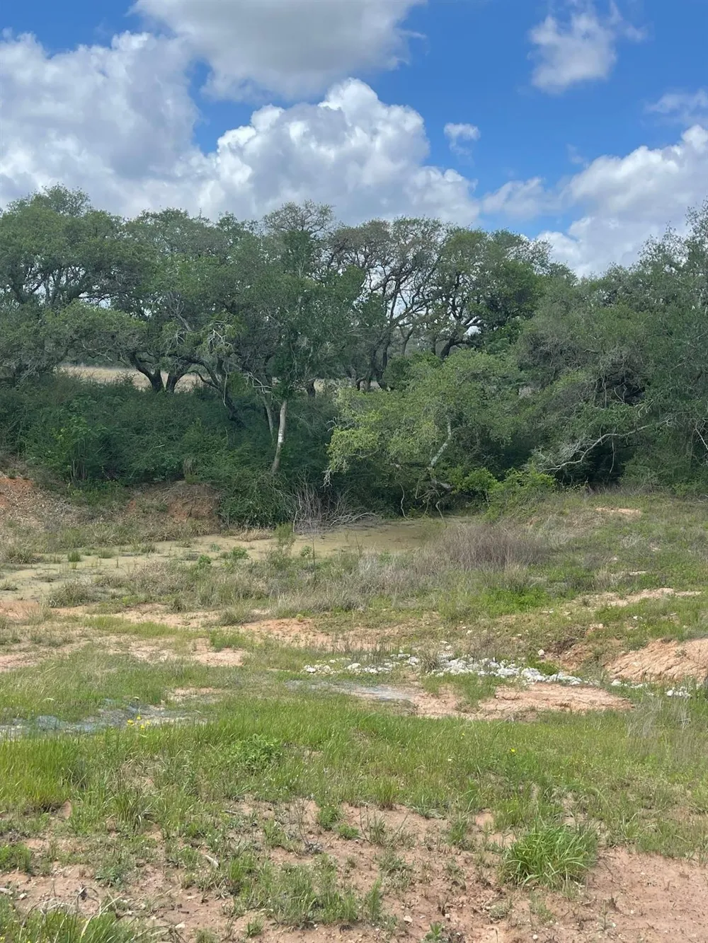 Pintail Lane Columbus, TX 78934