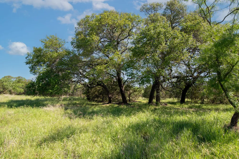 1377 Lampasas, TX 76550