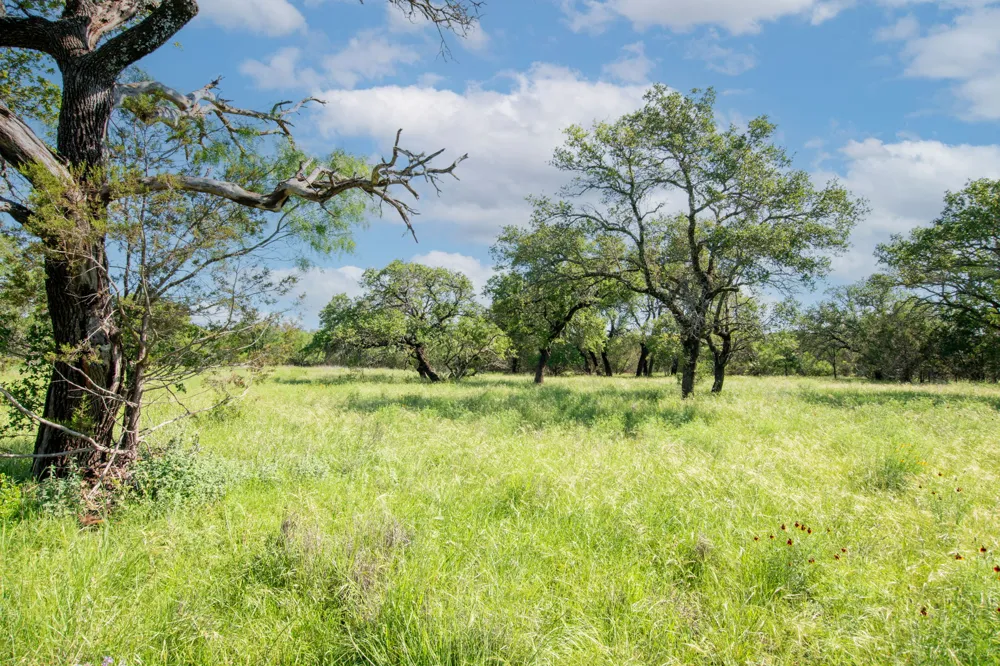 1377 Lampasas, TX 76550