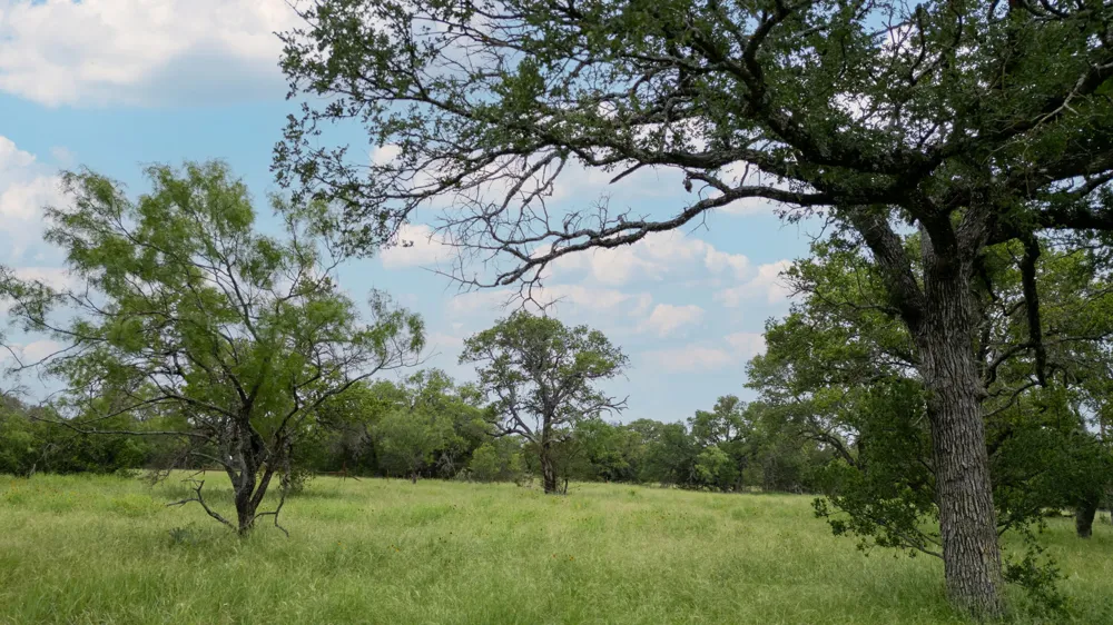 1377 Lampasas, TX 76550