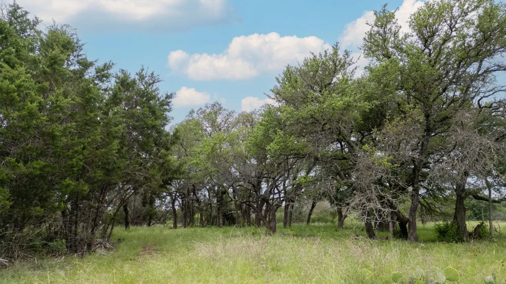 1377 Lampasas, TX 76550