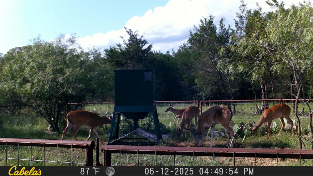1377 Lampasas, TX 76550