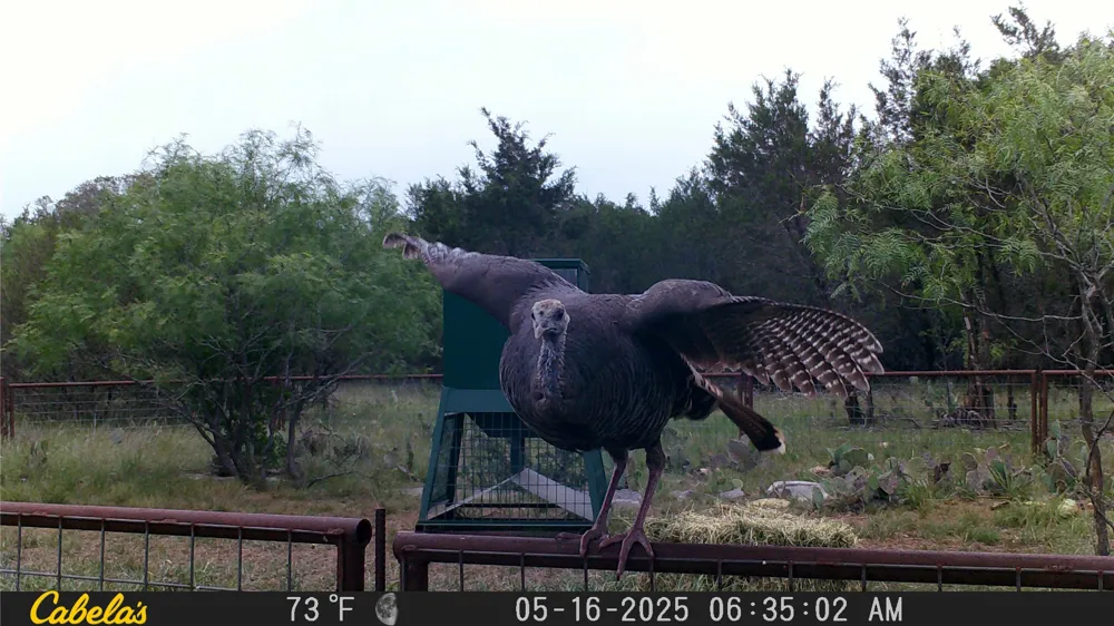 1377 Lampasas, TX 76550