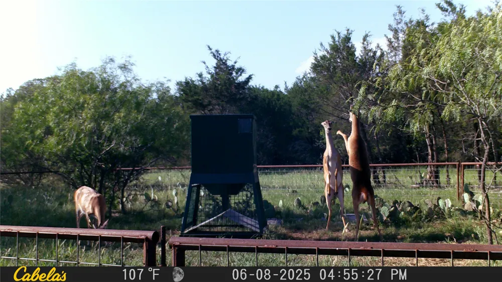 1377 Lampasas, TX 76550