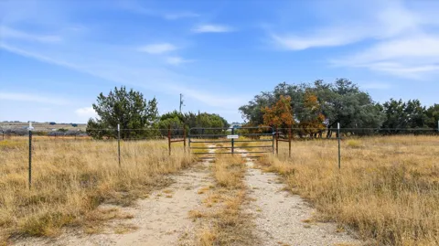 990 County Road 182