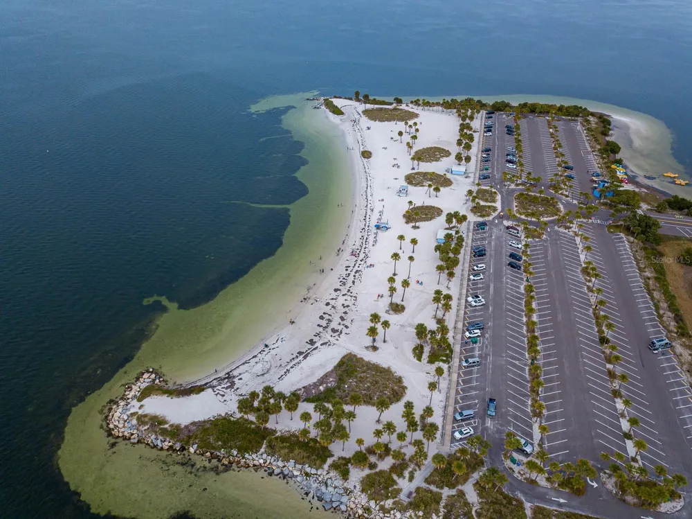 372 MOORINGS COVE DRIVE #372 Tarpon Springs, FL 34689