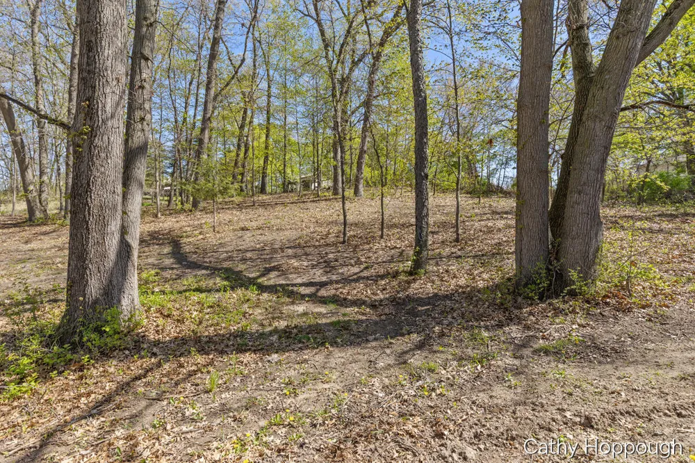 1057 W Tuttle Road Ionia, MI 48846