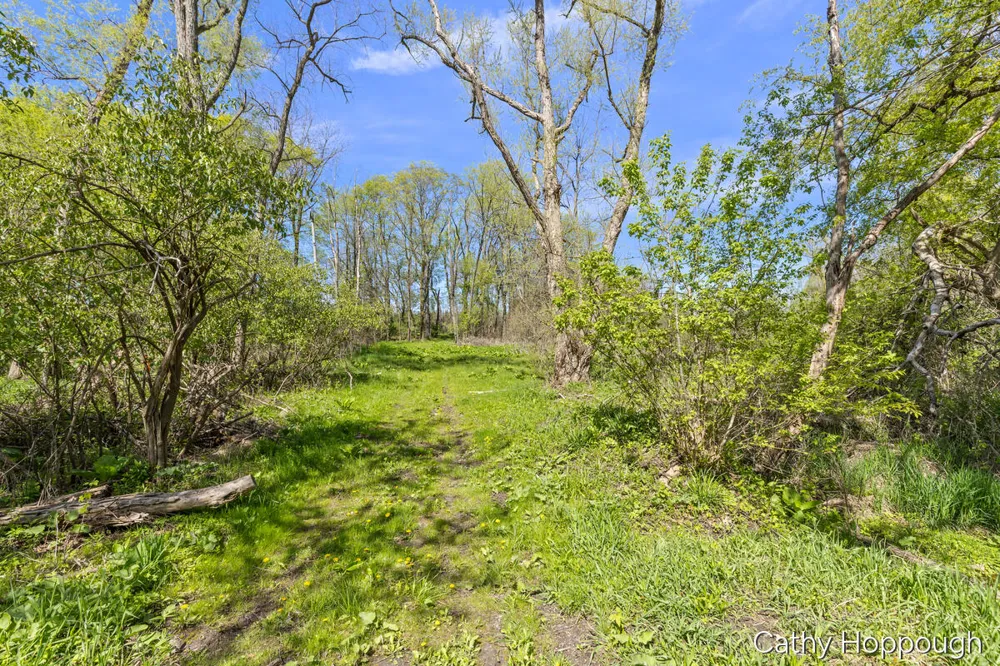 1057 W Tuttle Road Ionia, MI 48846