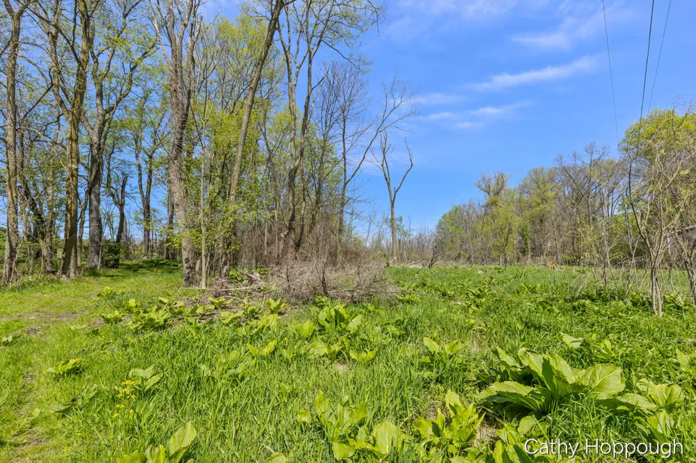 1057 W Tuttle Road Ionia, MI 48846