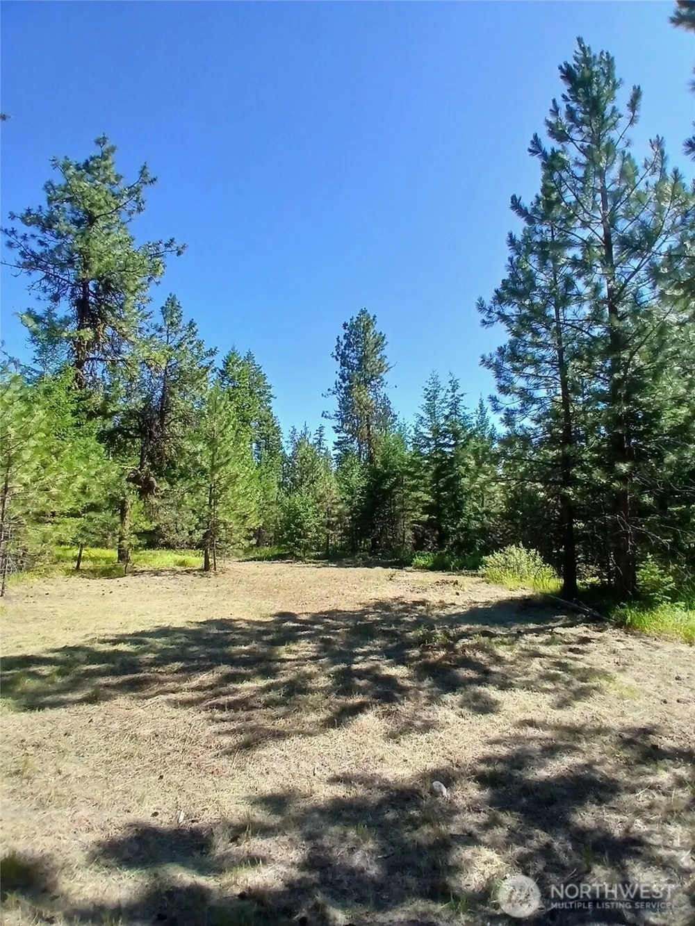 38 BROSER WAY W Tonasket, WA 98855