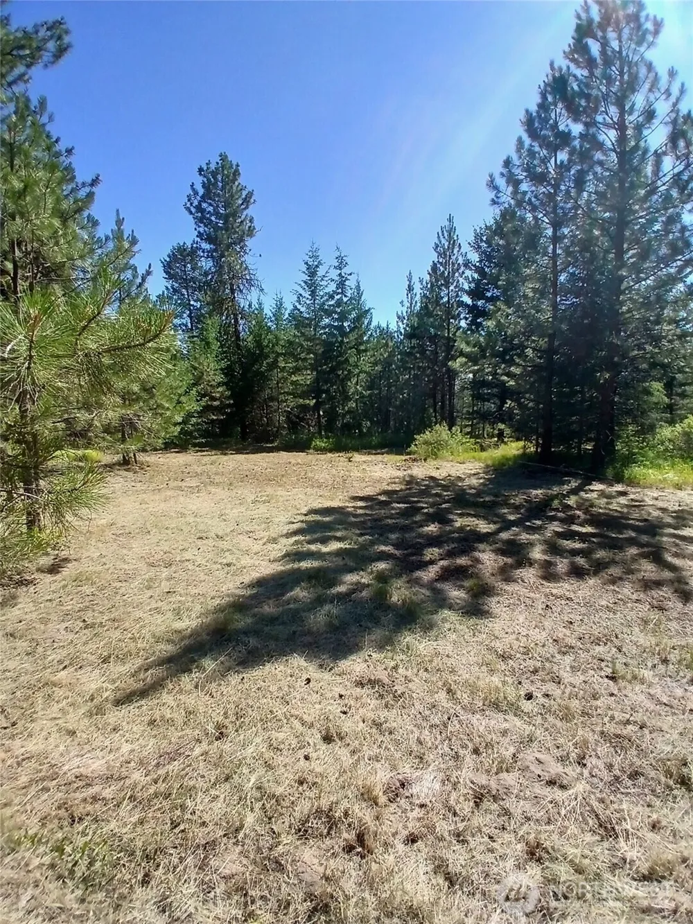 38 BROSER WAY W Tonasket, WA 98855