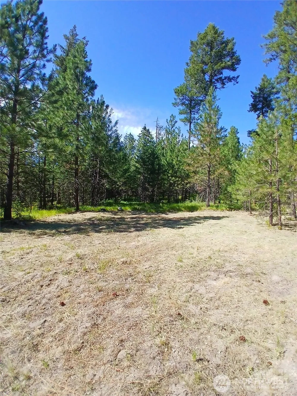 38 BROSER WAY W Tonasket, WA 98855