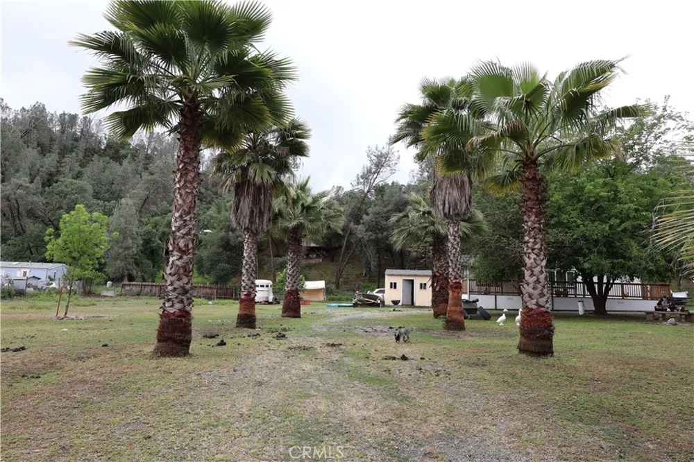 7566 Pebble Beach Dr. Corning, CA 96021