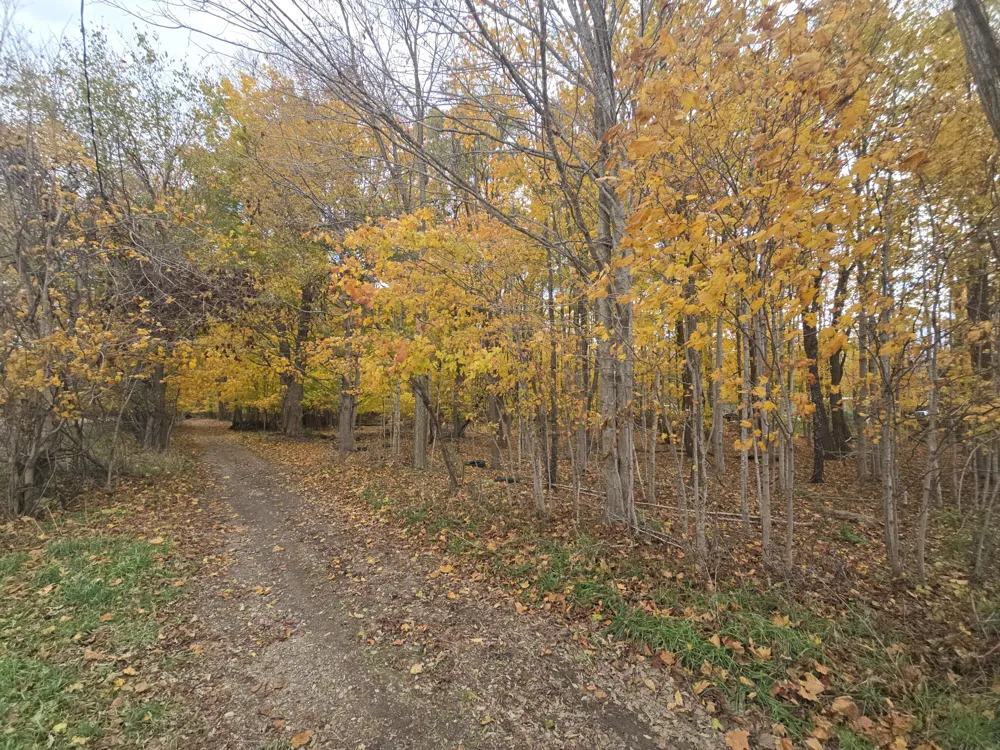 1182 Oliverda Road Sherwood, MI 49089