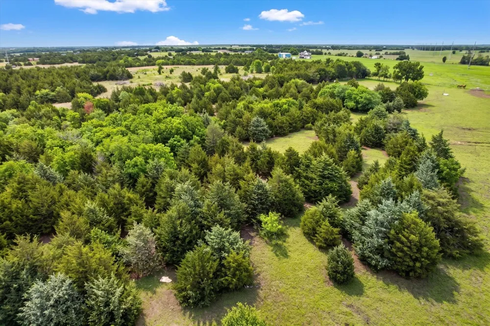 14991 CR 1100 Blue Ridge, TX 75424