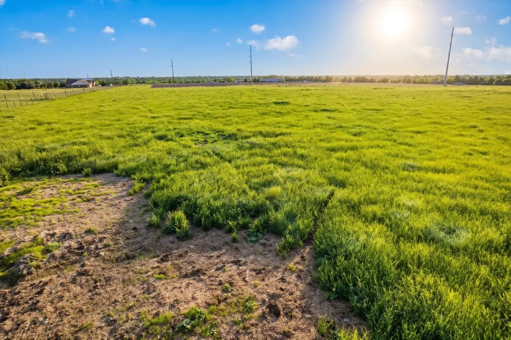 14991 CR 1100 Blue Ridge, TX 75424