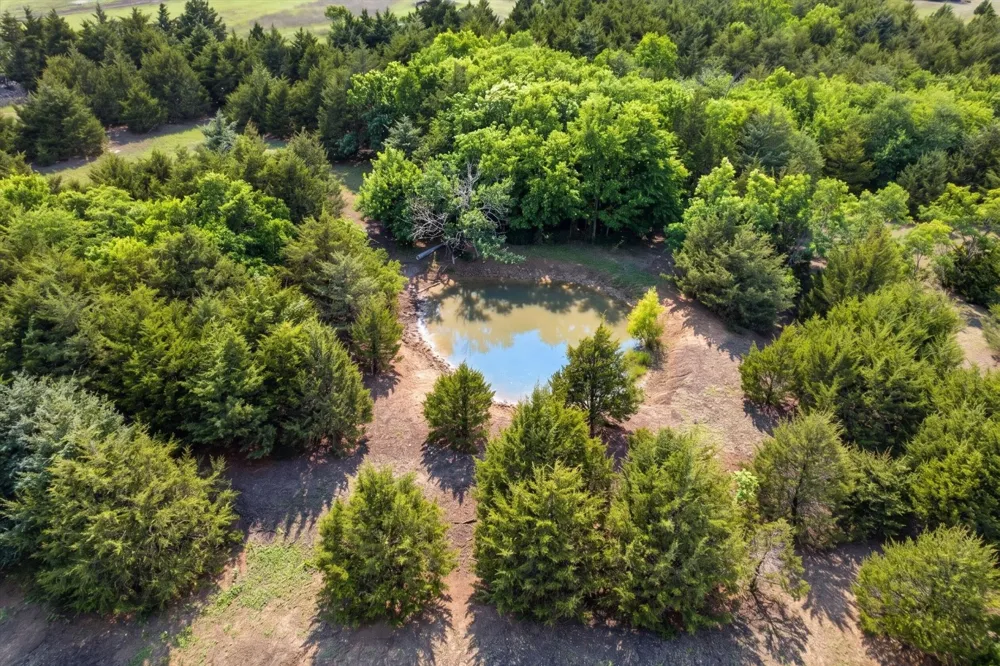 14991 CR 1100 Blue Ridge, TX 75424