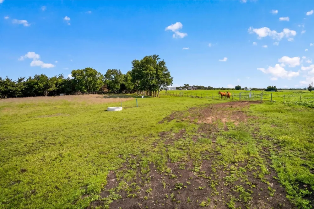 14991 CR 1100 Blue Ridge, TX 75424
