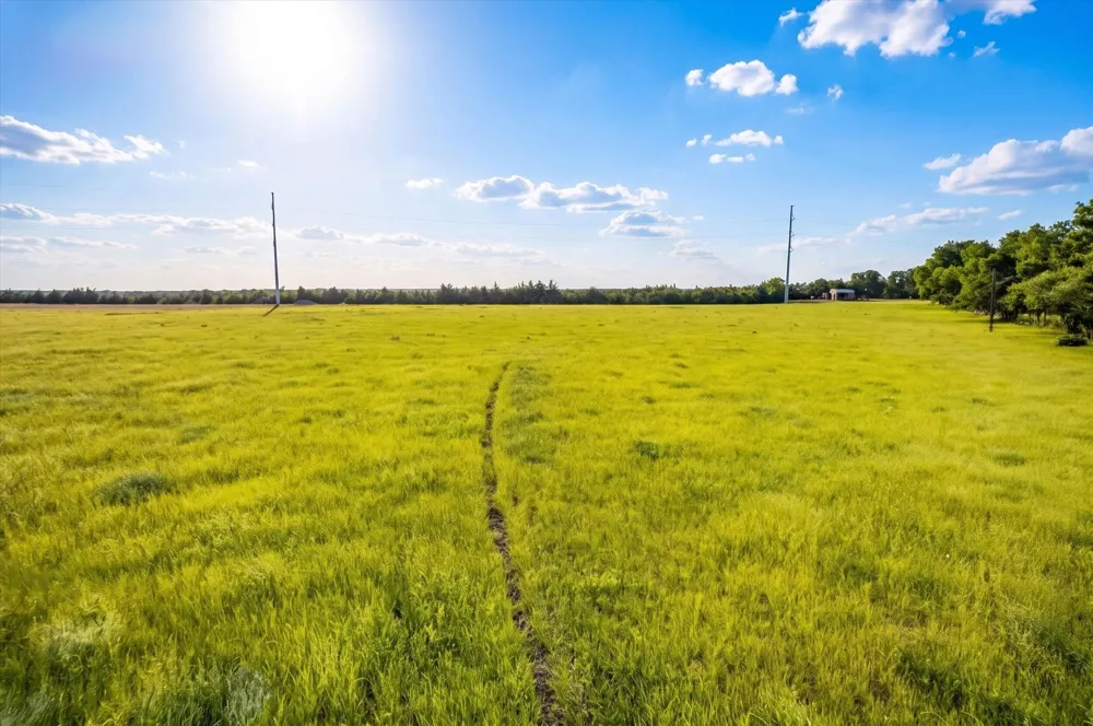 14991 CR 1100 Blue Ridge, TX 75424