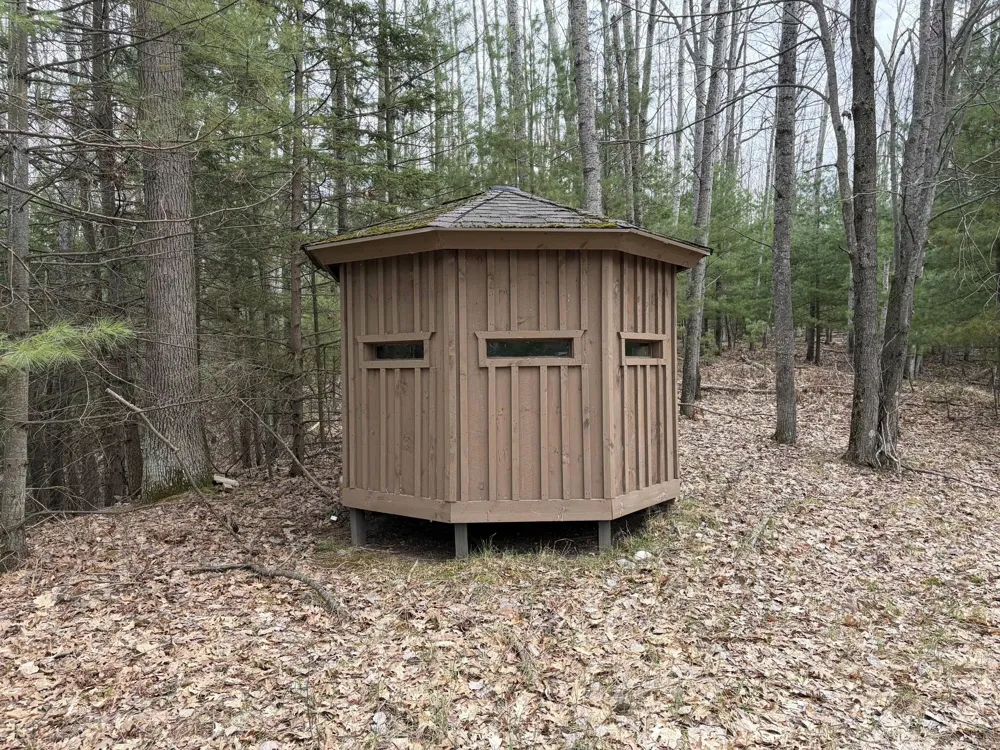 10838 Broad Road Ossineke Township, MI 49753