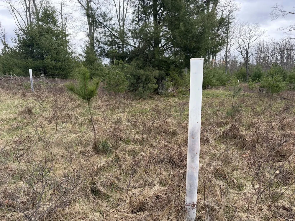 10838 Broad Road Ossineke Township, MI 49753