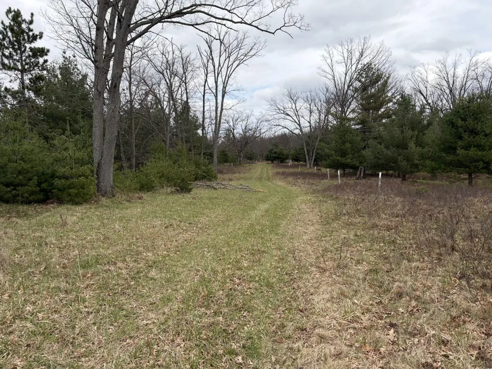 10838 Broad Road Ossineke Township, MI 49753