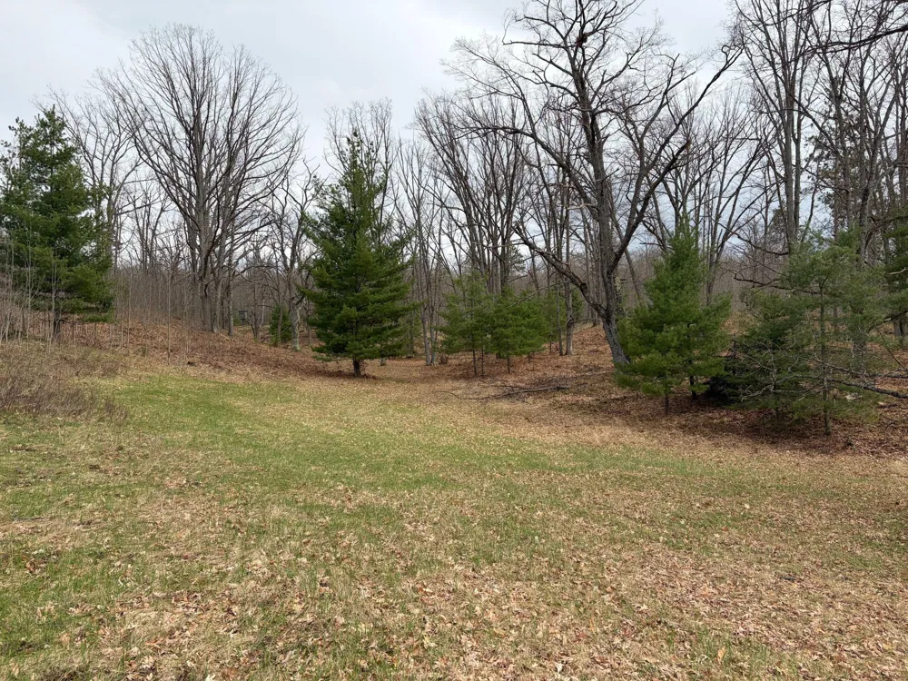10838 Broad Road Ossineke Township, MI 49753