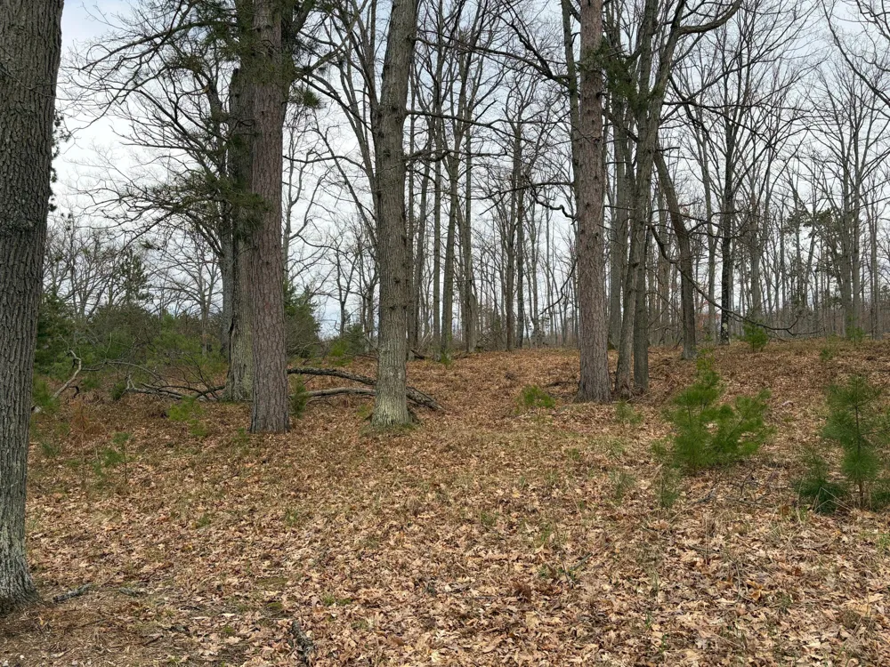 10838 Broad Road Ossineke Township, MI 49753