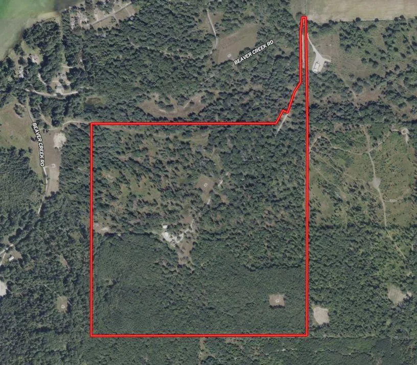 10838 Broad Road Ossineke Township, MI 49753
