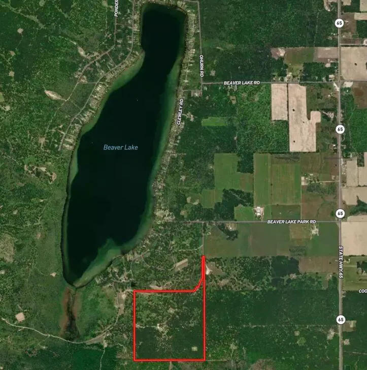 10838 Broad Road Ossineke Township, MI 49753